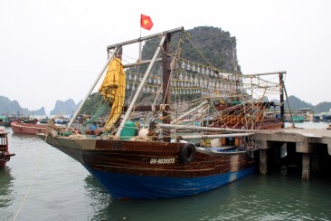 Le port de Cai Rong