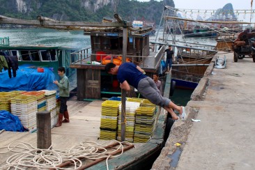 Le port de Cai Rong