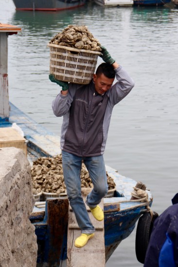 Le port de Cai Rong