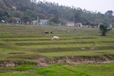 La campagne de l'île de Quang Trung